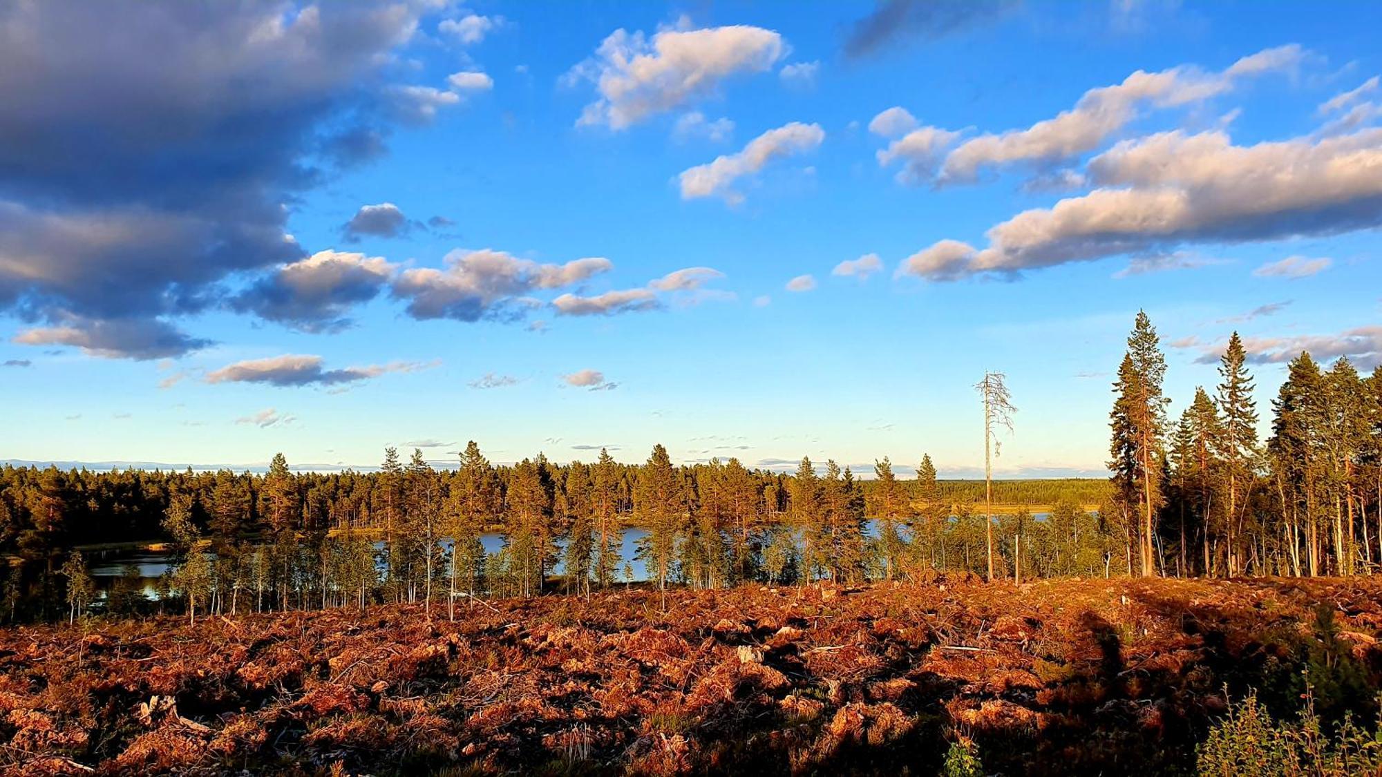 Stationshuset Dalarna Apartments Sörsjön Eksteriør billede